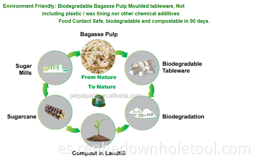 Caja de envasado de paja de trigo desechable biodegradable